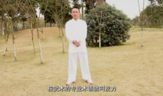 杨氏太极拳42式 杨氏太极拳42式