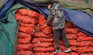 石家庄批发市场 石家庄批发市场