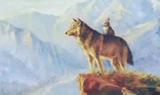 兔子爱上已婚的狼