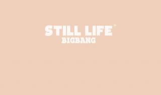 bigbangstilllife