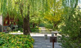 最新双一流入选大学 最新双一流入选大学