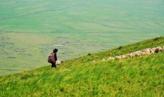 一箱矿泉水多少钱 一箱矿泉水多少钱