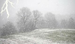 河南下雪了吗2020今天 河南下雪了吗2020今天