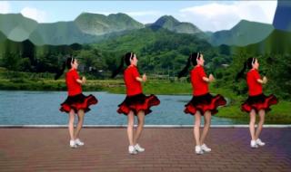 16步广场舞分解动作