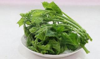 立秋必吃的9种食物