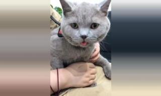 如何杀入禁魔监狱 如何杀入禁魔监狱