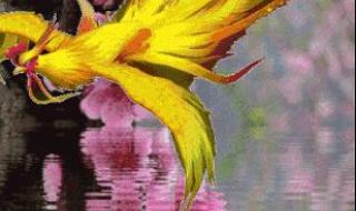 三月里的小雨原唱 三月里的小雨原唱